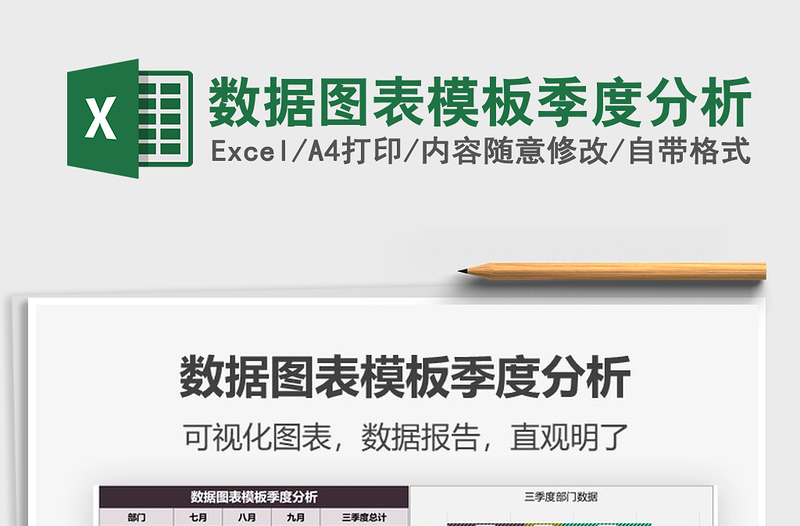 2025年数据图表模板季度分析