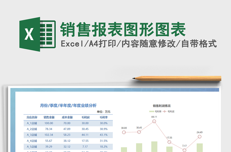 2025年销售报表图形图表