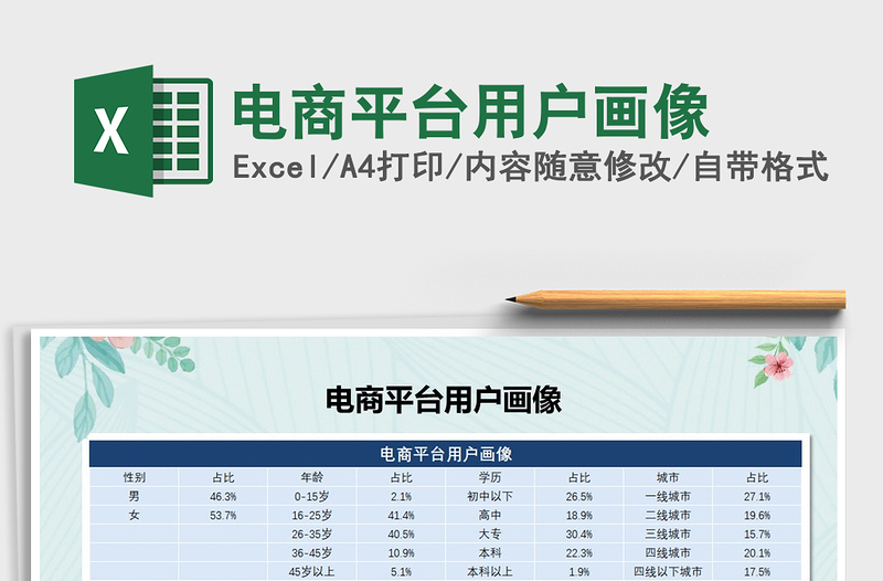 2024年电商平台用户画像免费下载