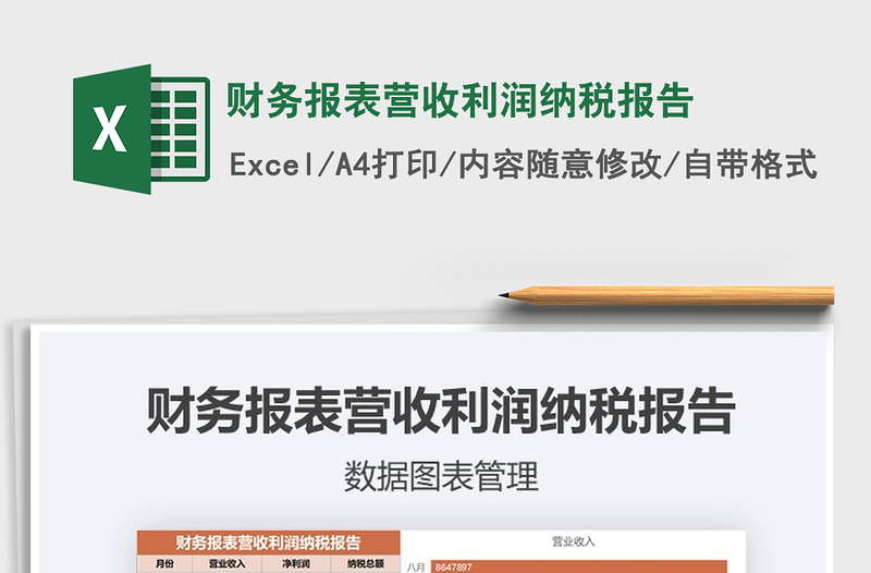 2025年财务报表营收利润纳税报告