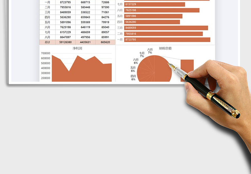2025年财务报表营收利润纳税报告