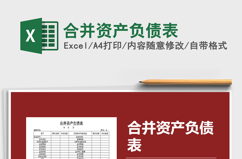 2025年合并资产负债表