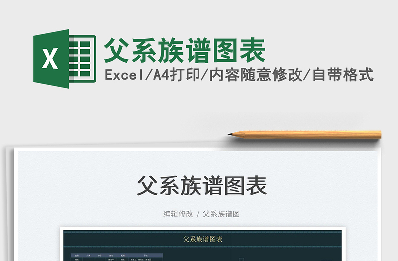 2024父系族谱图表excel表格