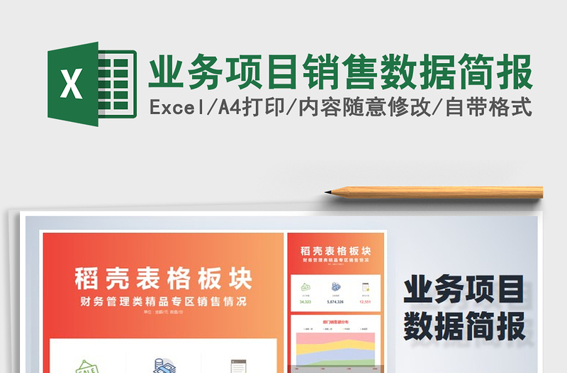 2024年业务项目销售数据简报exce表格