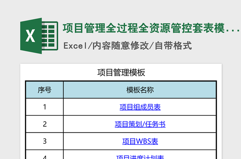 2024年项目管理全过程全资源管控套表模板免费下载