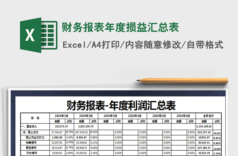 2025年财务报表年度损益汇总表