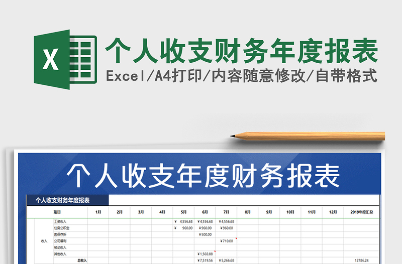 2025年个人收支财务年度报表