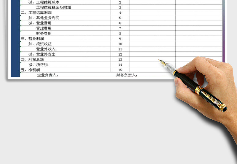 2025年项目财务明细表（损益表）