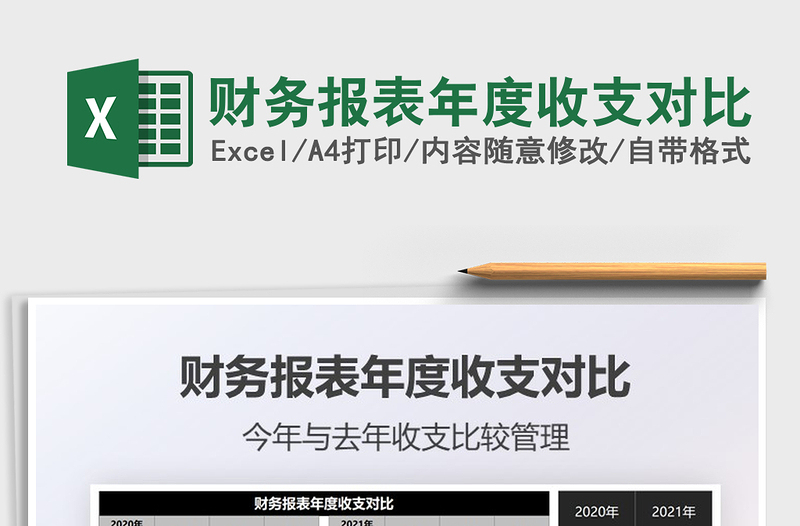 2025年财务报表年度收支对比