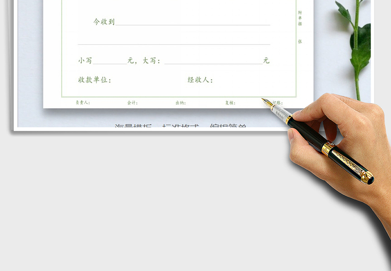 2025年收据、收款表（财务会计）