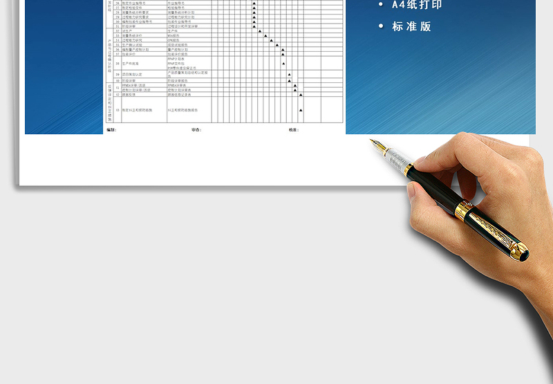 项目管理进度表