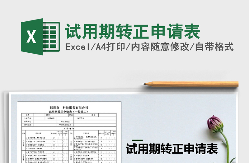 2025年试用期转正申请表