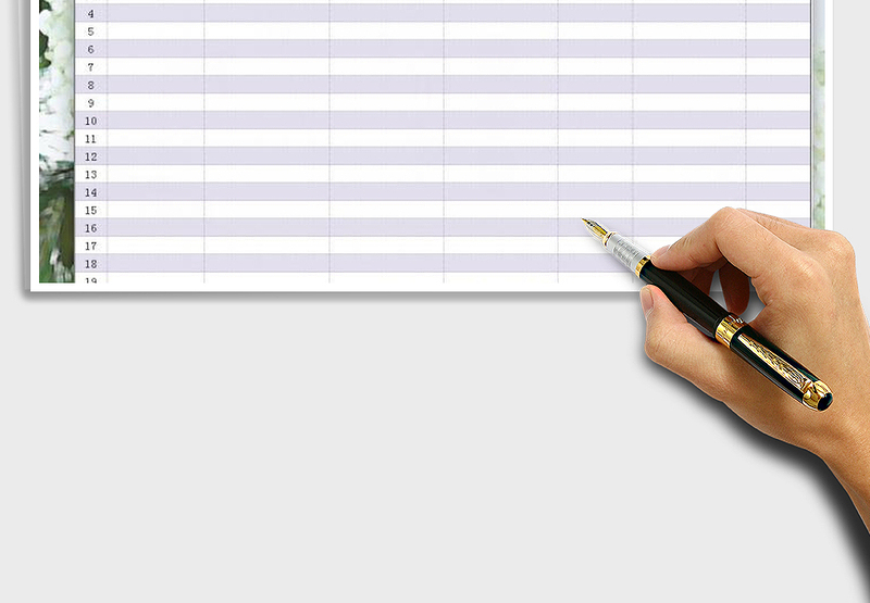 2025年物品发放记录表