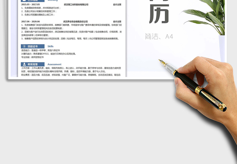 2025年会计财务类岗位表格求职简历模板