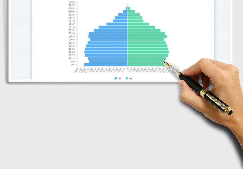 2025人口金字塔免费下载