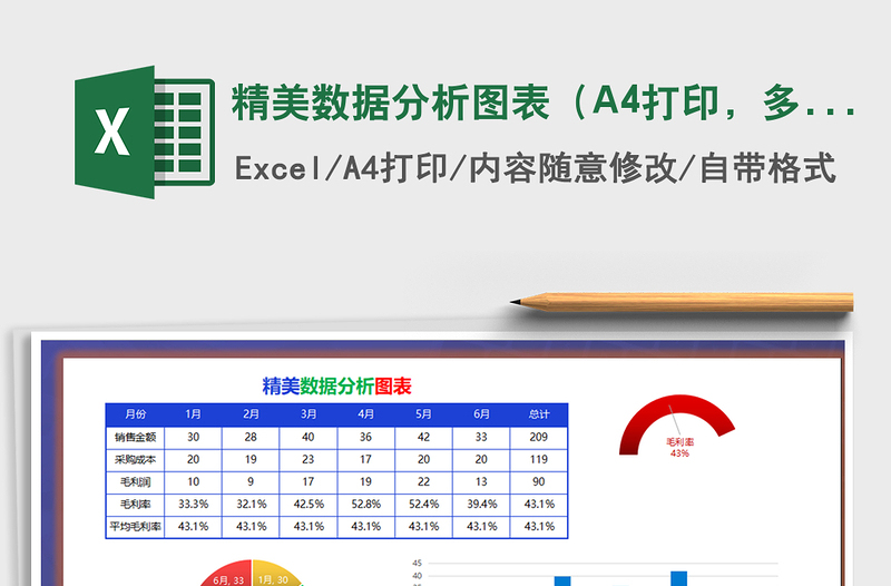 精美数据分析图表（A4打印，多类图表）excel表格