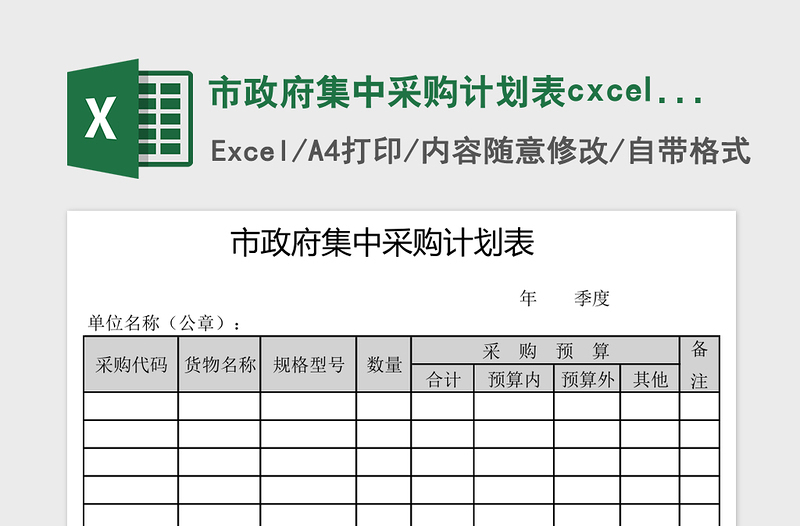 2025市政府集中采购计划表cxcel模板