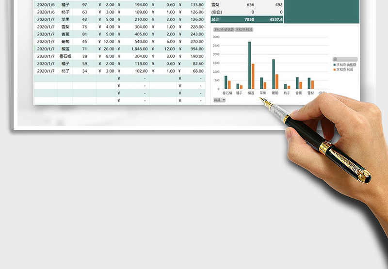 2025年营销管理利润统计表