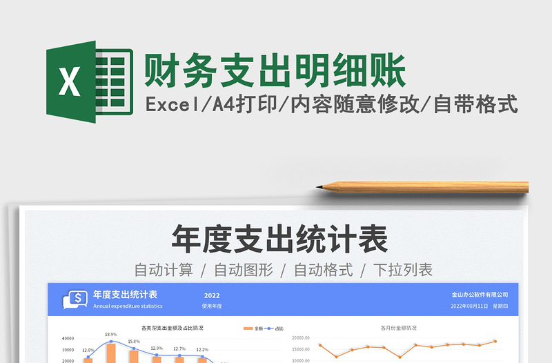 2025财务支出明细账免费下载