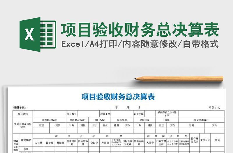 2025年项目验收财务总决算表