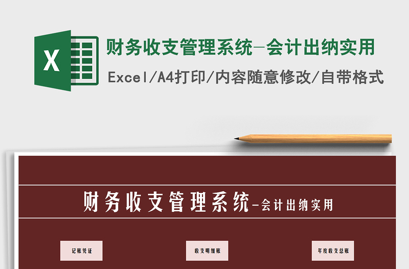 2025年财务收支管理系统-会计出纳实用