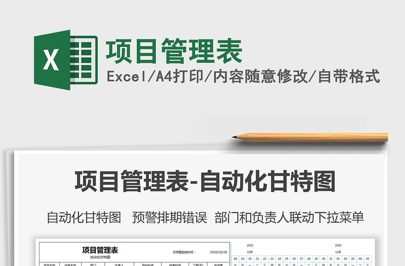 2025年项目管理表