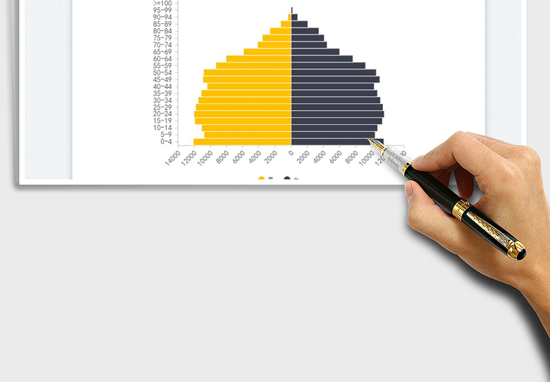 2025人口金字塔免费下载