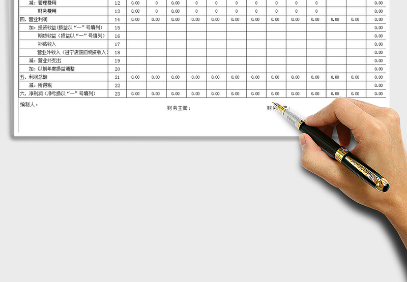 2025年财务损益表及成本费用表模板