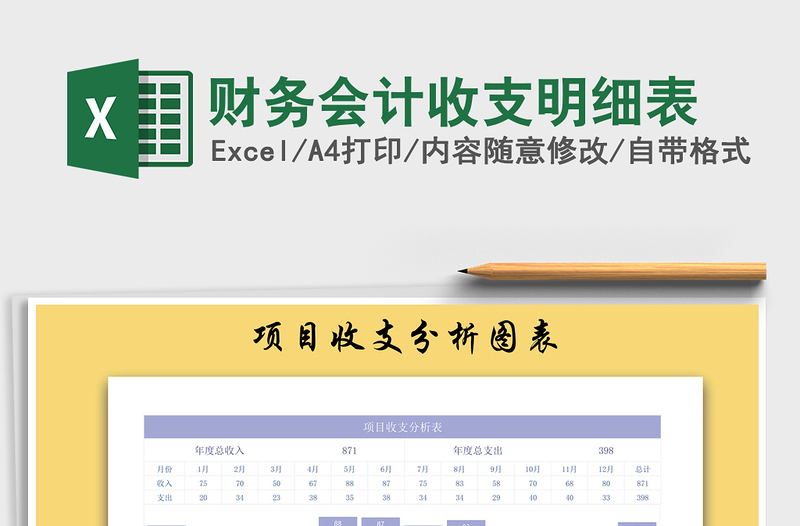 2025年财务会计收支明细表