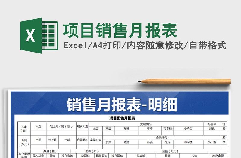 2025年项目销售月报表