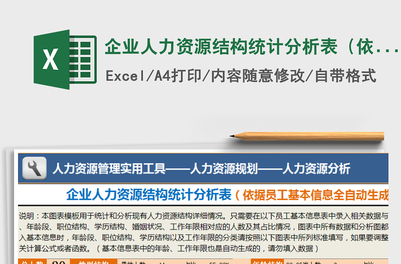 2024年企业人力资源结构统计分析表（依据基本信息自动生成）