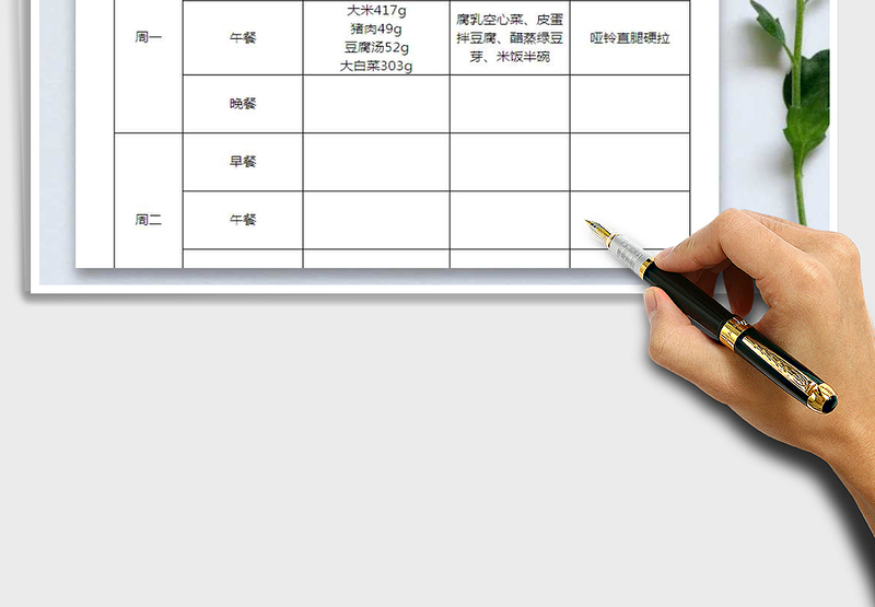 减肥饮食计划表