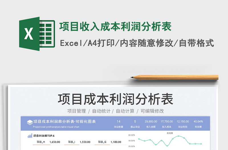 2024项目收入成本利润分析表exce表格