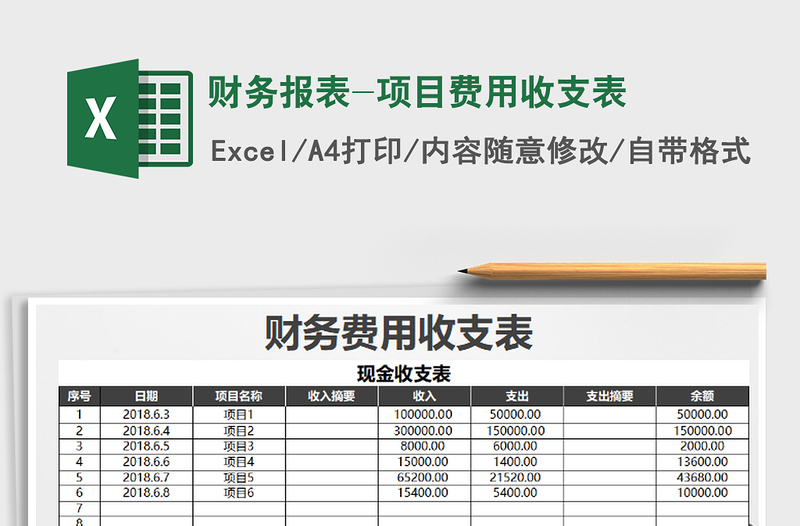 2025年财务报表-项目费用收支表