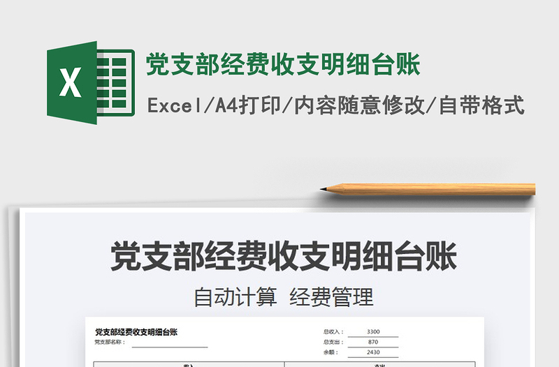 2024年党支部经费收支明细台账