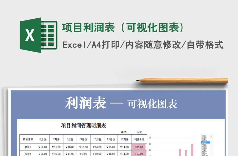 2025年项目利润表（可视化图表)