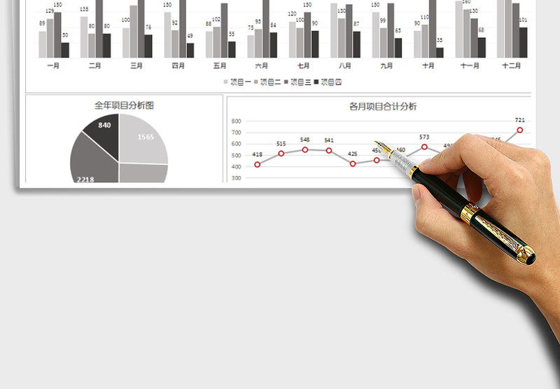 2025年全年项目收入图表分析