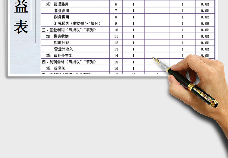 2025年损益表-财务报表