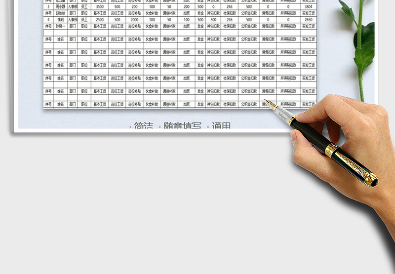 2025年人力资源工资表统计表格