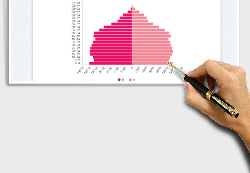 2025人口金字塔免费下载
