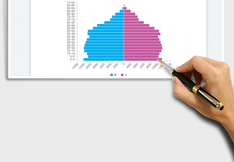 2025人口金字塔免费下载