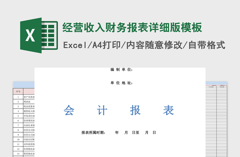 经营收入财务报表详细版模板