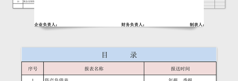 经营收入财务报表详细版模板