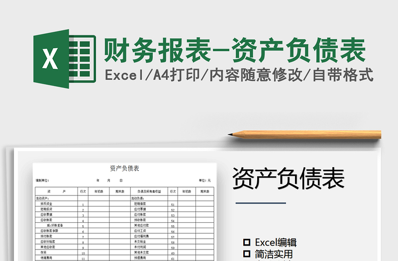 2025年财务报表-资产负债表