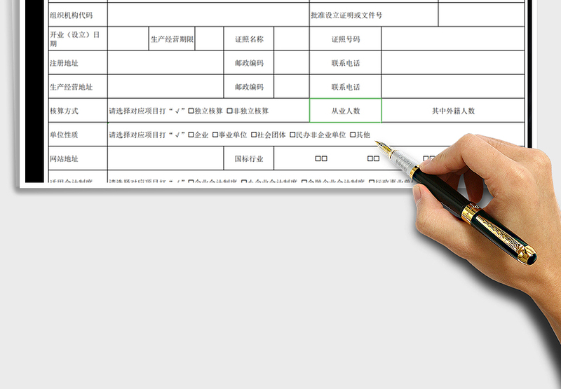 2025年税务登记表
