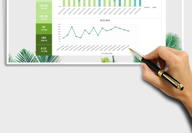 2025年健康健身减肥美容记录表格模板