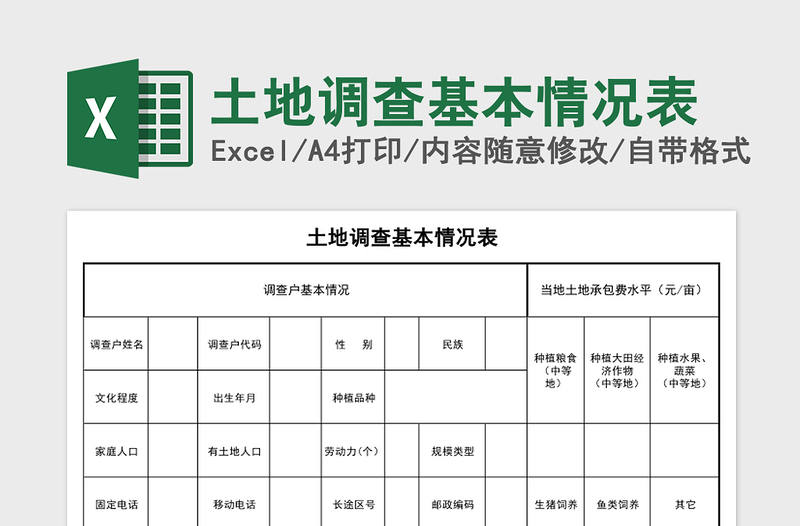 2025土地调查基本情况表excel表格