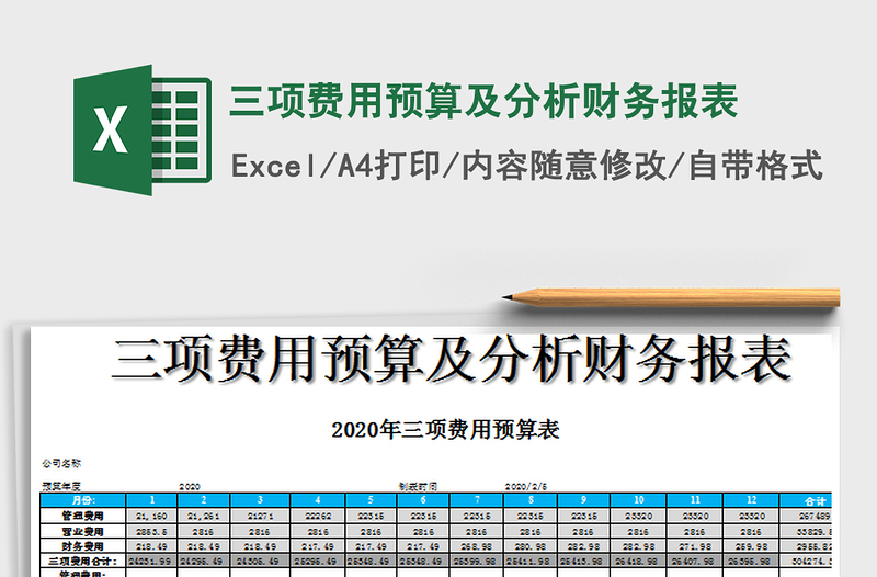 2025年三项费用预算及分析财务报表