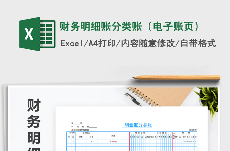 财务明细账分类账（电子账页）