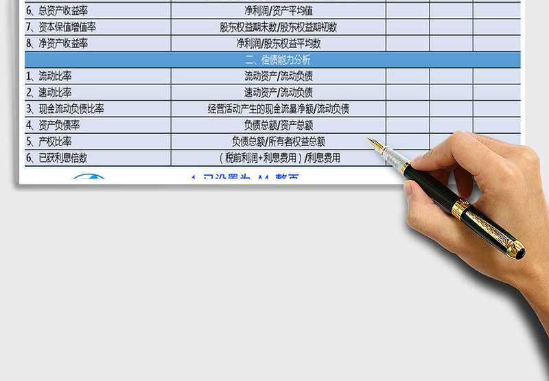2025年财务指标分析表空模板自带两种风格